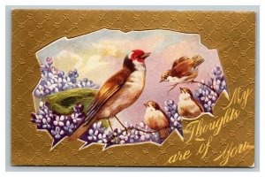 Vintage 1910's Winsch Back Postcard Cute Birds on Purple Flowered Branch Gold