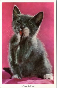 postcard - I can lick 'em - gray cat licking paw