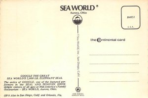 Elephant Seal, Sea World Aurora, Ohio OH