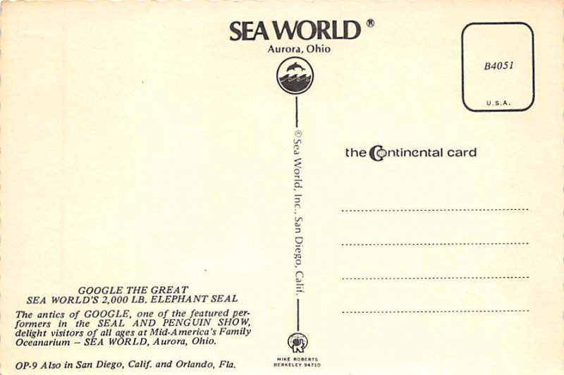 Elephant Seal, Sea World Aurora, Ohio OH