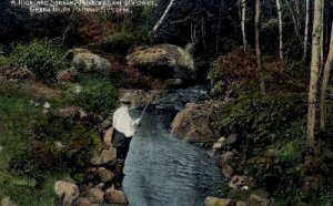 A Highland Stream in Muskoka Lakes, Minnesota