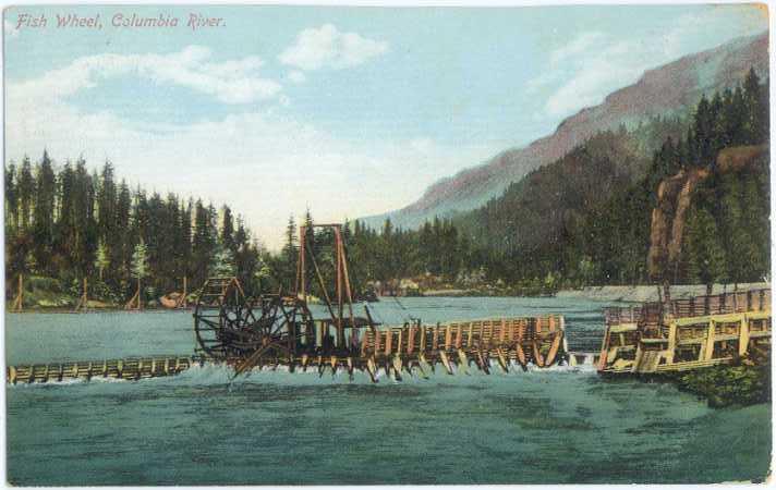 D/B Fish Wheel Columbia River Oregon OR Washington WA