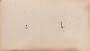 Cute Kittens - Cats - Copyright Bundy