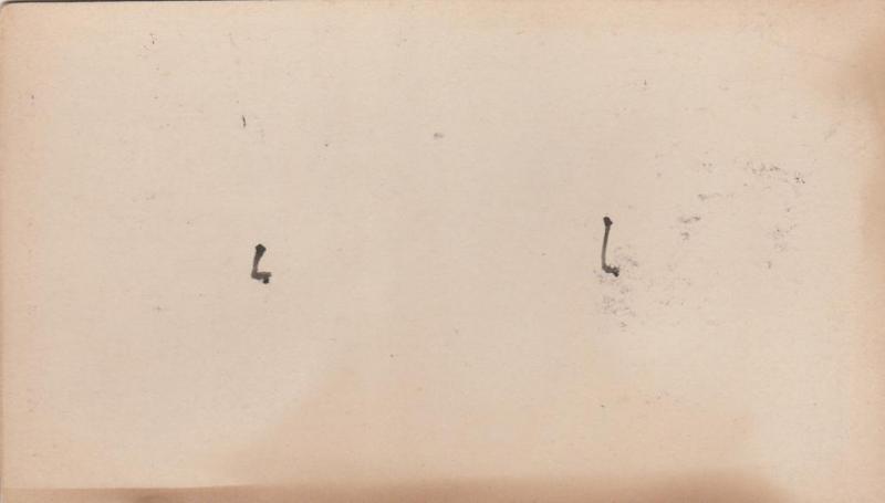 Cute Kittens - Cats - Copyright Bundy