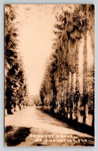 RPPC   St. Augustine   Florida  c1910  Postcard