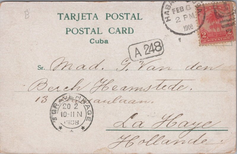 Cuba Cuban Landscape Vintage Postcard C203