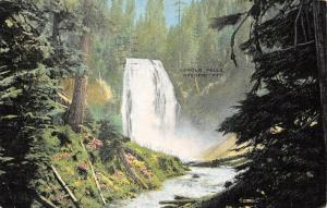 OR, Oregon  LEMOLO FALLS~North Umpqua River~National Forest 1945 Linen Postcard