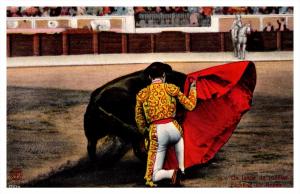 Bull Fighting    Fighting on Knees