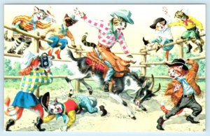 MAINZER DRESSED CATS Anthropomorphic RODEO COWBOYS Chaos #4952 Turkey Postcard