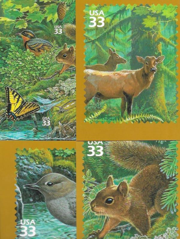 US Pacific Coast Rain Forest. 17 Jumbo 5X7 Postcards. #3378