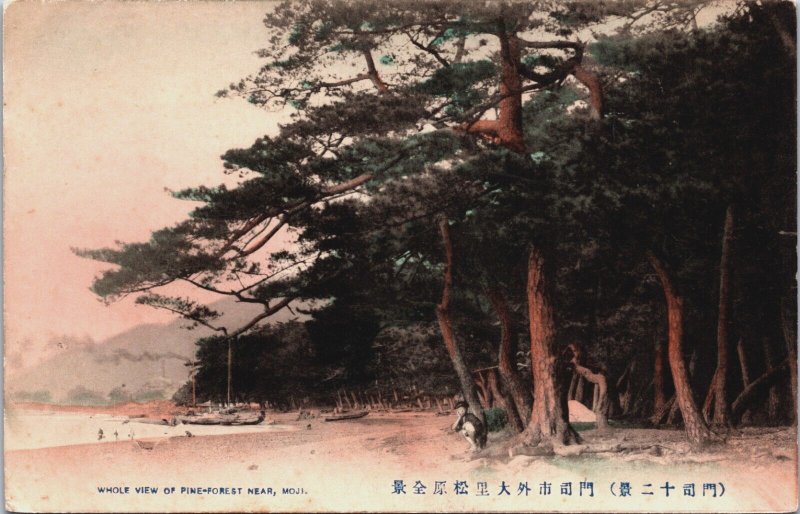 Japan Whole View of Pine Forest Near Moji Coloured Postcard C073