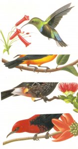 Tropical birds Set of four  American stamped postcards issued by USPS in 1997