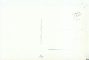 Germany Postcard - Bad Harzburg - Molkenhaus - Ref 14836A