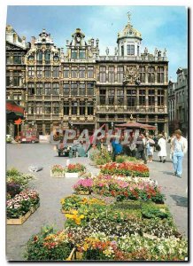 Postcard Modern Brussels Grand Place and Flower Power