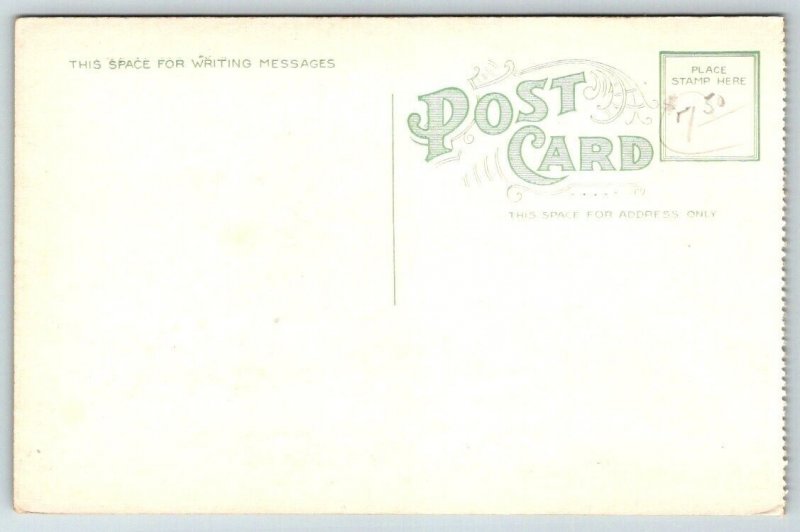 On the Golf Course  Palm Beach  Florida   Postcard