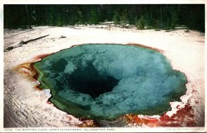 Yellowstone National Park Morning Glory Upper Geyser Basin Detroit Publishing