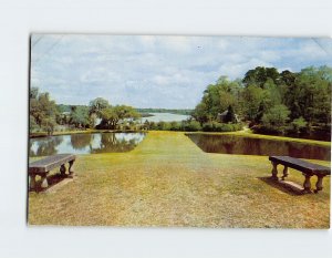 Postcard Middleton Gardens, Charleston, South Carolina