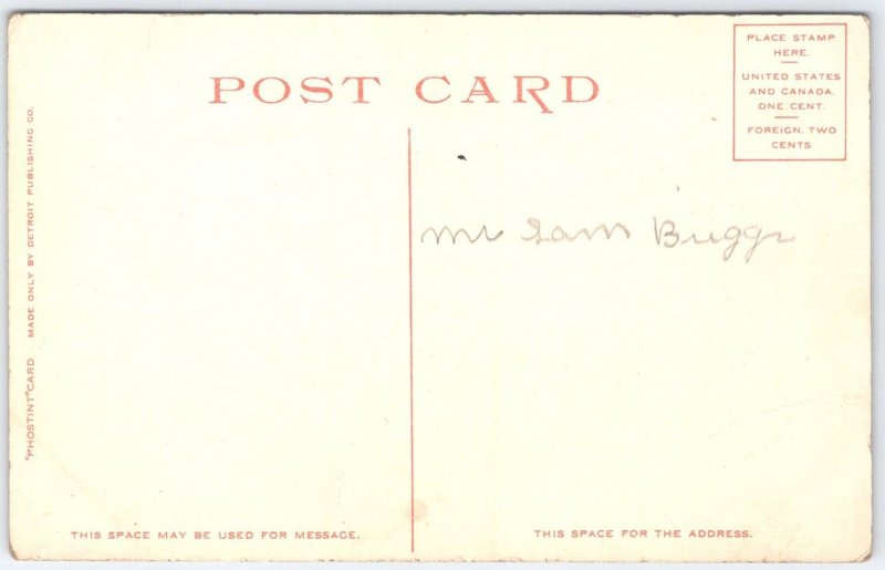 Vintage 1900 Up the Delaware River from Water Gap PA Postcard