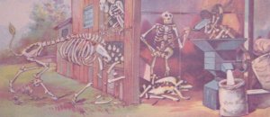 Bone Fertilizers Walker Stratman Skeletons Agriculture Farming Folder Trade Card