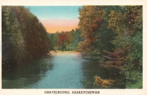 Vintage Postcard Saskatchewan Scenic View Of The River Forest Gravelbourg Canada