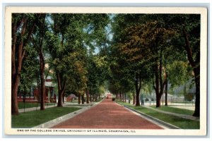 1921 One Of The College Drives University Of Illinois Champaign IL Postcard