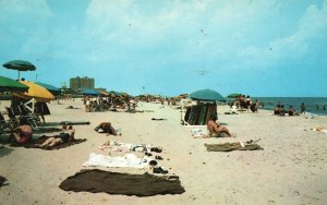 Virginia Beach VA, Relaxation & Fun Smooth Sand, Foamy Surf, Sun Bath, Postcard
