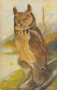 Owl Painting, Harvey Unused 