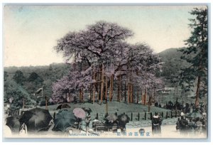 c1910 View of Maruyama Kyoto Japan Big Tree Unposted Antique Postcard