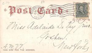 Sea Girt New Jersey White City State Camp Horse Antique Postcard K25159