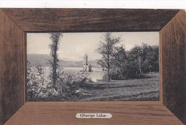 New York Otsego Lake Scene Rotograph