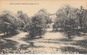 Water Scene Around Eastern Shore of VIRGINIA, 1900-10s