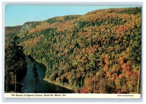 Vintage The Spledor Of the Seasons Ontario Canada Postcard #AE