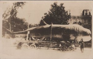 RPPC Postcard Whale Being Moved in Giant Cart July 1925