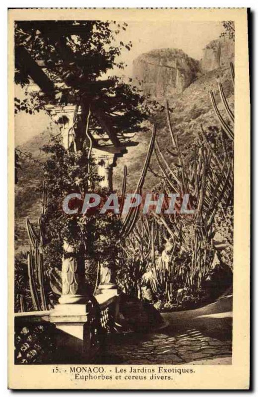 Old Postcard Monaco Exotic Gardens Euphorbia and various Cereus