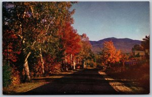 Vtg Lake Orion Michigan MI Street View Autumn Fall Leaves 1950s View Postcard