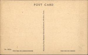 East Wolfeboro NH Bowman's Store Gas Station Old Postcard