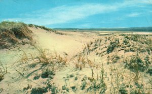 Vintage Postcard 1962 Sand Dunes Sandwich Beach Cape Cod Massachusetts MA