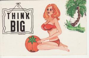 Comic BATHING BEAUTY in FL, FLORIDA  THINK BIG postcard