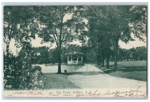 1907 The Front Tree-lined Garden Scene Buffalo New York NY Antique Postcard 