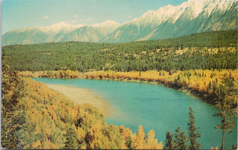 Kootenay River near Wardner BC British Columbia Autumn Unused Postcard H20