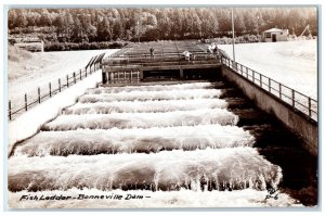 c1910's Fish Ladder Bonneville Dam Tacoma Washington WA RPPC Photo Postcard