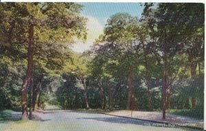 Hampshire Postcard - The Avenue - Southampton - Ref 9836A