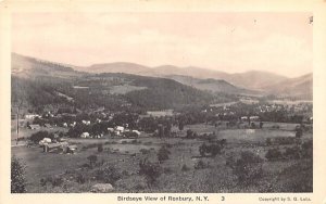 Bird's Eye View Roxbury, New York  