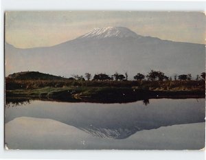 Postcard Mt. Kilimanjaro In Reflective Mood, Tanzania