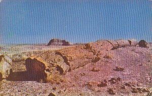 Arizona Petrified Forest National Monument 1952