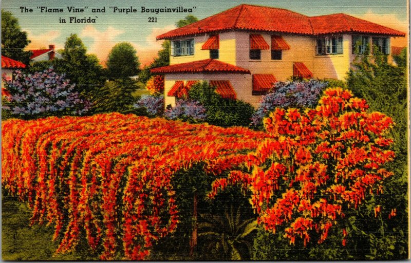 Vtg 1930s Flame Vine & Purple Bougainvillea in Florida FL Unused Linen Postcard