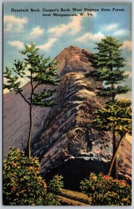 Vtg Morgantown West Virginia WV Haystack Rock Cooper's Rock 1940s Postcard