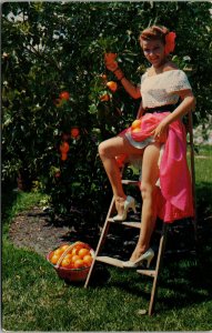 Vtg 1950s Pretty Sexy Woman Picking Oranges Skirt Hiked Up Florida FL Postcard