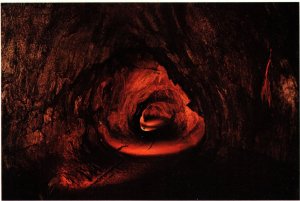 CONTINENTAL SIZE POSTCARD THURSTON LAVA TUBE ON THE CRATER RIM HAWAII