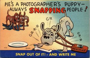 Vtg Comic Postcard Dogs Puppy Photographer Cartoon Funny Westman Camera Postcard